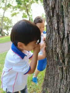 Mmi Bedok Reservoir Outdoor Nature Exploration Activity